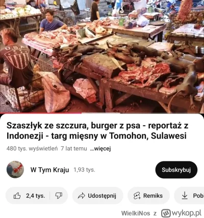 WielkiNos - W Indonezji jest dla takich agresywnych psów idealne miejsce