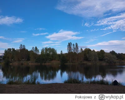 Pokojowa - #spierdotrip Dolina trzech stawów #katowice