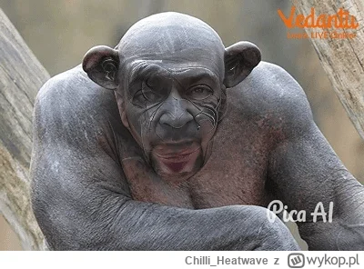 Chilli_Heatwave - @Hexenbrenner 

Banany