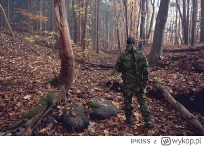 IPKISS - Test na myśliwego. Znajdź dzika na tym zdjęciu.