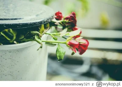 anonanonimowy321 - Spotkanie z 'koleżanką' utwierdziło mnie w tym że ja trukel. Niby ...