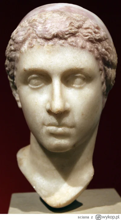 sciana - Kleopatra pochodziła z rodu Ptolemeuszy, którzy wywodzili się z Macedonii (z...