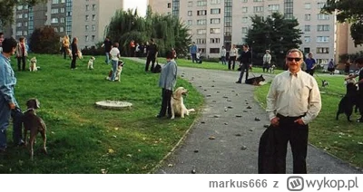 markus666 - @blackghost: ciekawe co zrobisz jak przegryw zasadzi kopa twojemu szczuro...