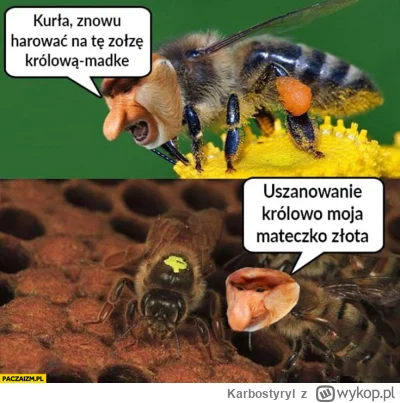 Karbostyryl - @pawello321: