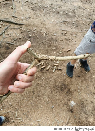 mnemic666 - Znalazłem #fajnypatyk i w związku z tym #chwalesie