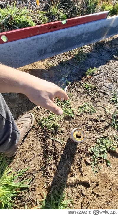 marek2092 - Chłop se robi ogrodzenie ugułem, oczywiście sam bo taniej xd
#budujzwykop...