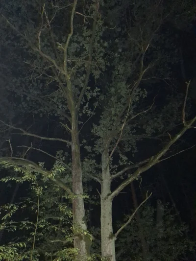 Gontyn- - @BlackenedBlue: dla mnie są jakieś brzydko rozmazane. ale pobawię się w ust...