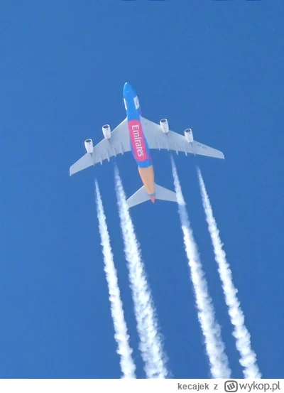 kecajek - Taki sobie leciał kolorowy A380 na trasie JFK-DXB. Nikon Z5, Tamron 150-600...