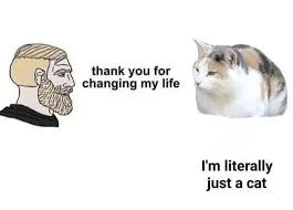 Selina_ - @WideOpenShut: