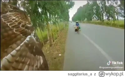 saggitarius_a - ( ͡° ͜ʖ ͡°)
#heheszki #humorobrazkowy #zwierzaczki #smiesznypiesek