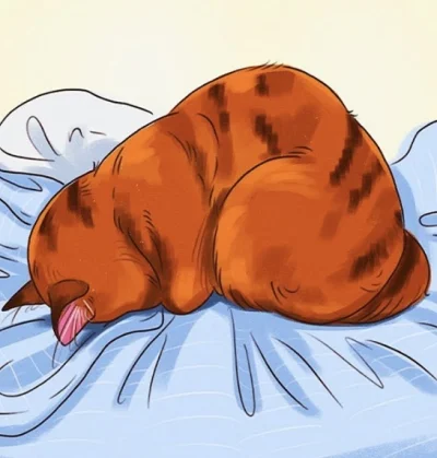 naksu - czemu moja kotka tak śpi? ma depresję? wasze #koty tak spały kiedyś? ona zacz...