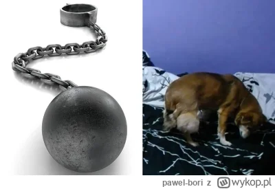 pawel-bori - #danielmagical