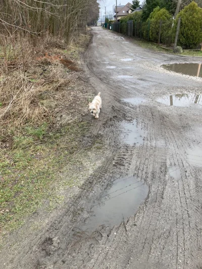 Igtorn - Myślałem, że Azor z sąsiedztwa przyszedł pozdrowić mnie na finiszu porannego...