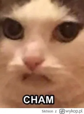 Skhion - #eurowizja Czemu dzisiaj tak mało osób mówi "Thank you" po występie? Co za b...