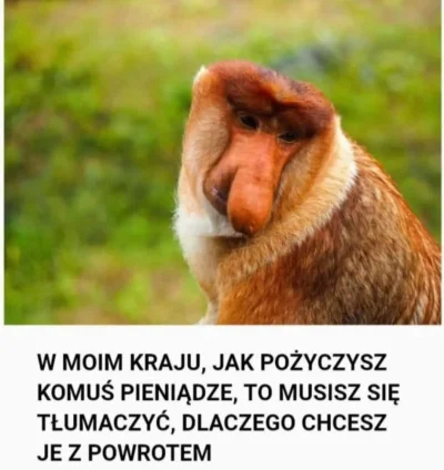 NauczonyRoboty - #konkursnanajbardziejgownianymemznosaczem