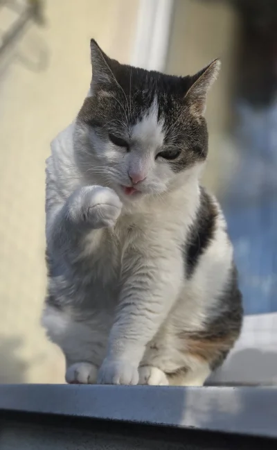 Solsith - @Cogito-sum: ( ͡° ͜ʖ ͡°)