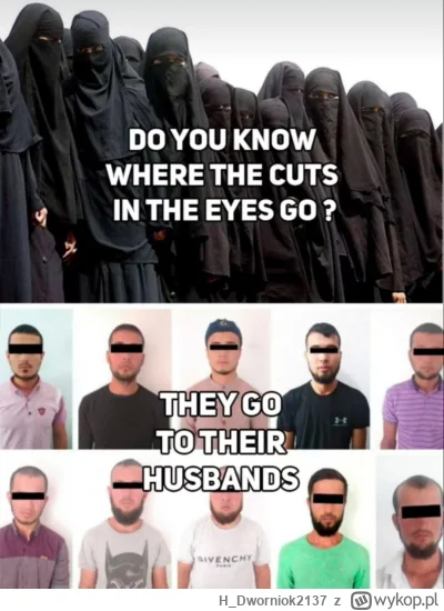 H_Dworniok2137 - #heheszki