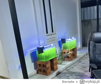 Barnabs - WTF?
#raportzpanstwasrodka