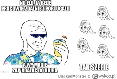 BlackpillMonster - #programista15k #programowanie #pracait #korposwiat