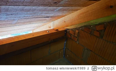 tomasz-wisniewski1989 - Siatka na kuny. Oczywiście ta belka (murłata) będzie z każdej...