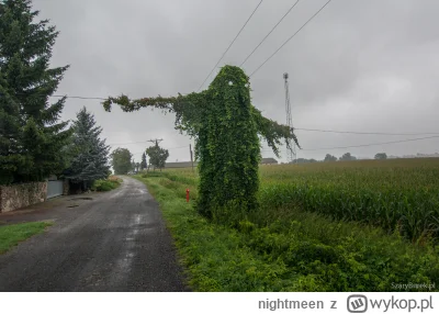 nightmeen - Pamiętacie słynną latarnię we Wrocławiu, która nocą straszyła przechodnió...