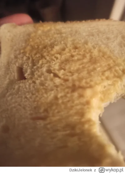DzikiJelonek - #przegryw  ja chleb z musztardą a Mandon kebaby codziennie za mamine