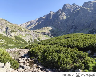 hos85 - Dzień dobry ( ͡° ͜ʖ ͡°)
#tatry