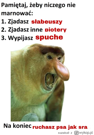 suzaku0 - @paczelok: