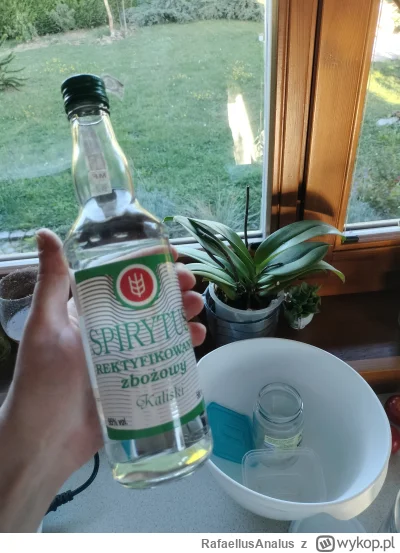 RafaellusAnalus - #danielmagical PDW KWS #patostreamy