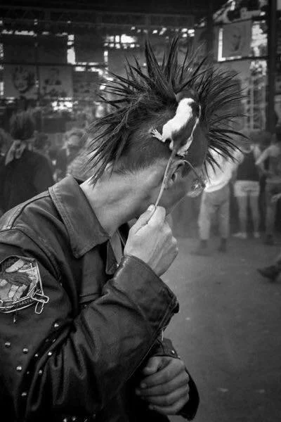 skrogg - Dawno temu, jak jeszcze nie było prądu, to ludzie tak sobie boczki wycinali ...