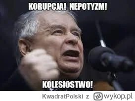 KwadratPolski - 乁(⫑ᴥ⫒)ㄏ
