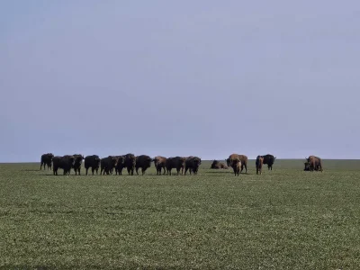 Athantor - @MockyPocky: Dojedziesz. Zona zaczyna się na Siemianówce (czyli 30km od Gr...
