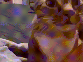 RitmoXL - @wybryk_natury: ( ͡°( ͡° ͜ʖ( ͡° ͜ʖ ͡°)ʖ ͡°) ͡°)