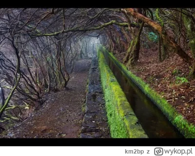 km2bp - https://youtu.be/eW9cAg-o8Rs?si=AYZU_1UkmmGhRtJU