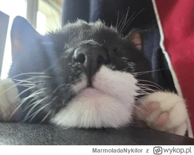 MarmoladaNykilor - @MarmoladaNykilor: