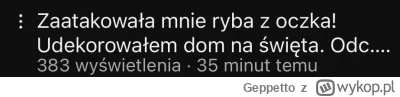 Geppetto - #raportzpanstwasrodka o taki kątęt nic nie robiłem