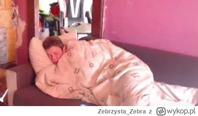 Zebrzysta_Zebra - #mecz