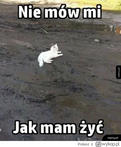 Polasz - @Gacek_ test ciągle trwa