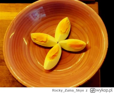 RockyZumaSkye - #gotujzwykopem

Jaka zupka będzie biorąc pod uwagę porę roku i dostęp...