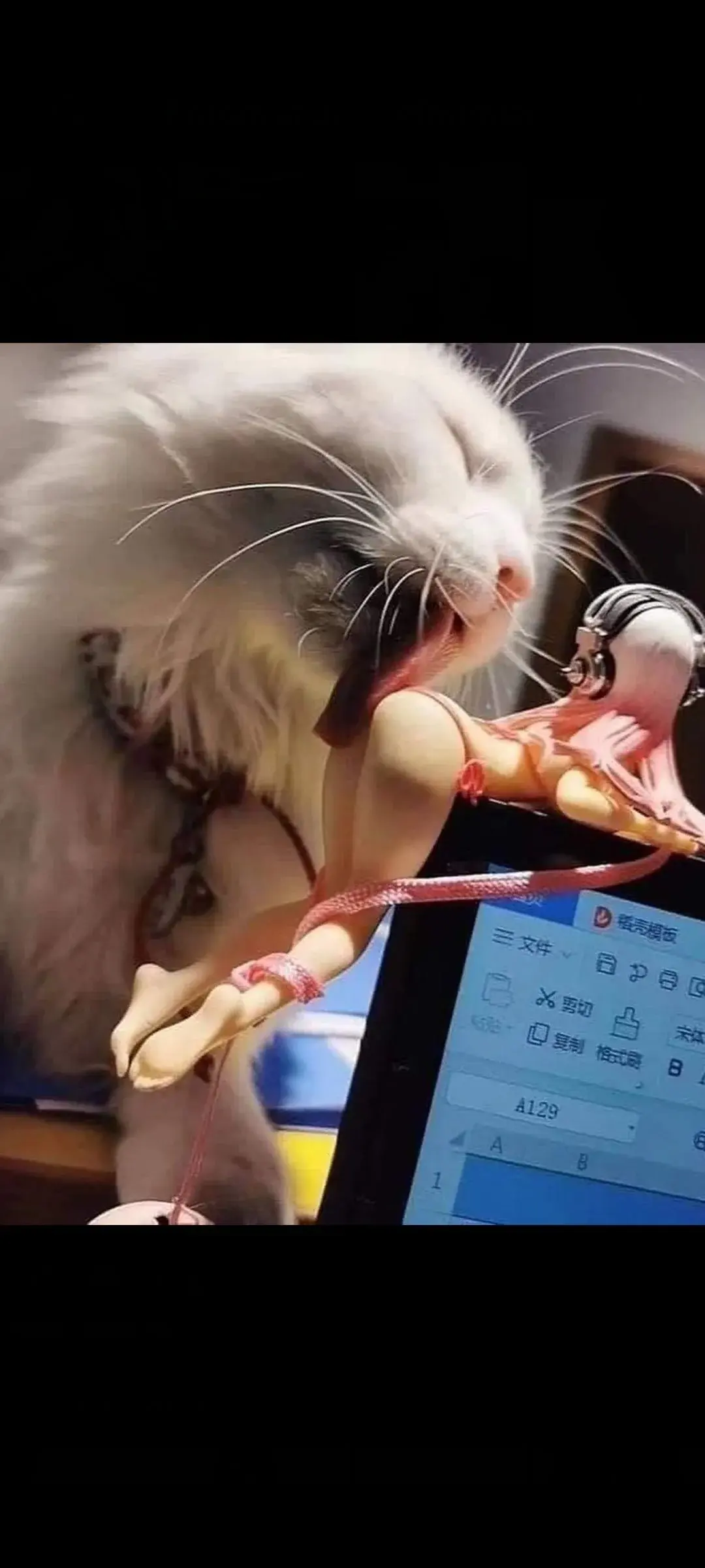 wfyokyga - Dzień dobry