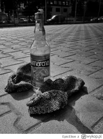 EpicElion - Jesień mood. (╯︵╰,)

#jesien #gownowpis