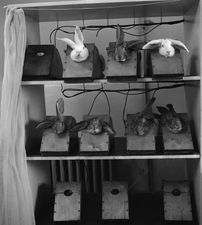 makrofag74 - #starezdjecia

Warszawa, 12.1967. Warszawskie Zakłady Farmaceutyczne Pol...