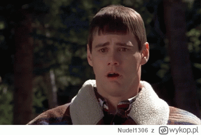 Nudel1306 - @Michael_MD: Ej... Wypluj te obrzydliwe słowa ( ͡° ʖ̯ ͡°) Tylko nie gekon...