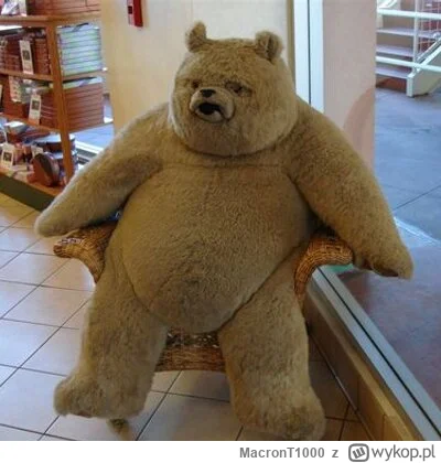 MacronT1000 - dzie wudga!