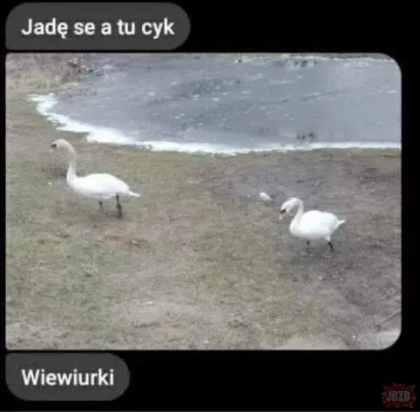 EugeniaEdytowany - @RandyBobandy: