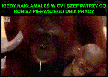 rzaden_problem - @wezsepigulke: ( ͡° ͜ʖ ͡°)