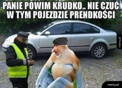 paczelok - poziom żartu = polska noc kabaretowa #konkursnanajbardziejgownianymemznosa...