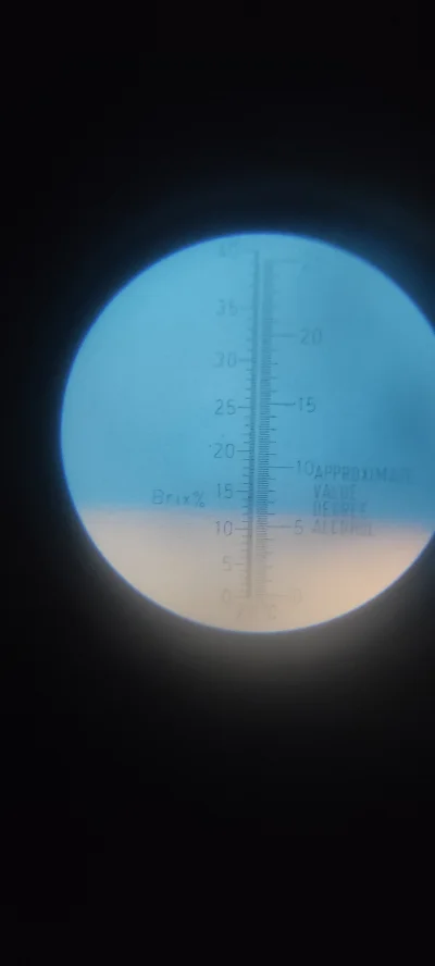 Pesa_elf - @wojciech-wwww: @jwd07 12brix powinny zdążyć dobić do 15 i zrzucić jeszcze...