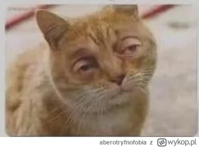 aberotryfnofobia - @dywergent