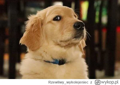 Rzewliwywykolejeniec - Coraz bardziej utwierdzam się w przekonaniu, że dekle z tagu #...